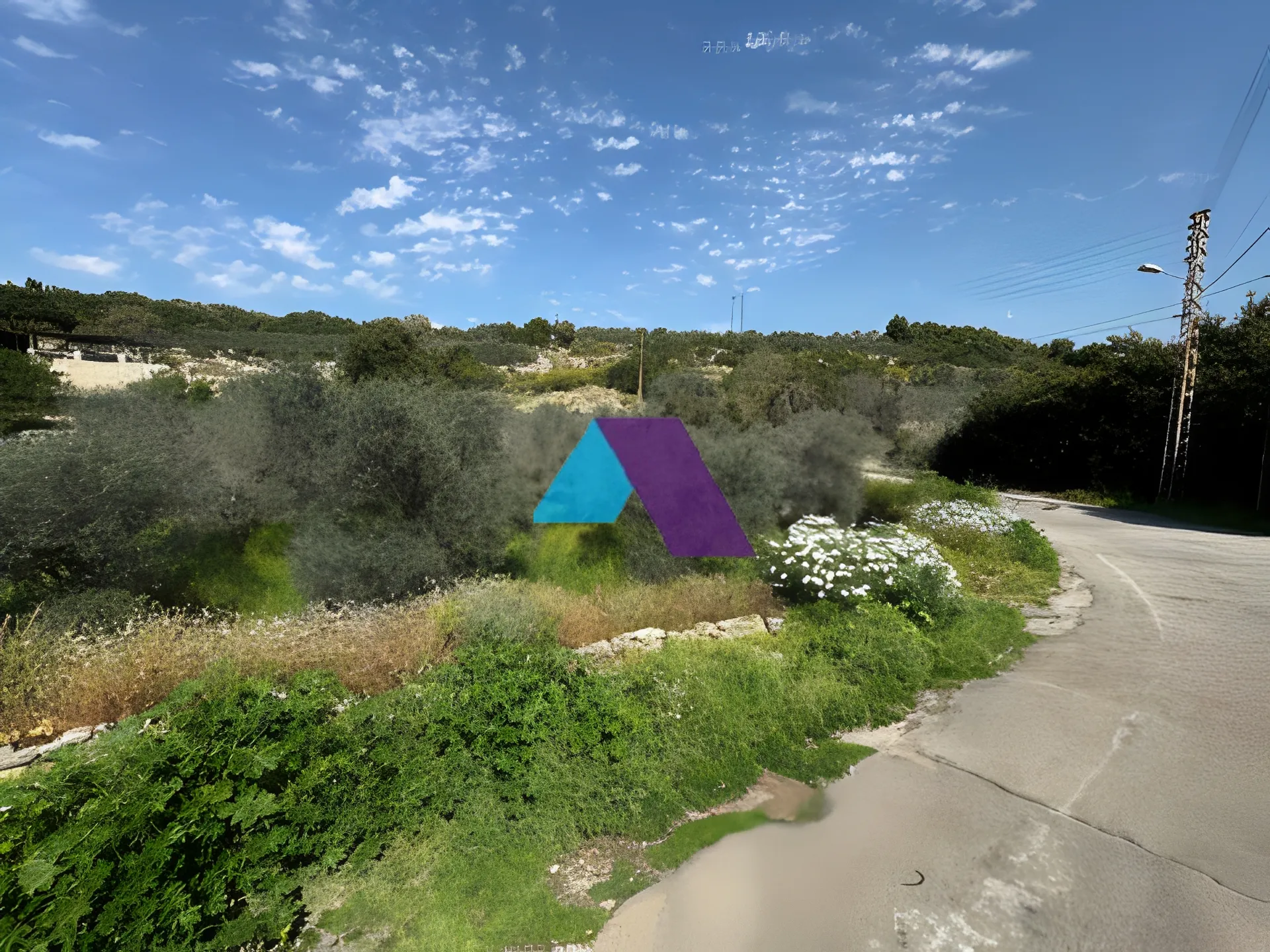 Land for Sale in Rihani