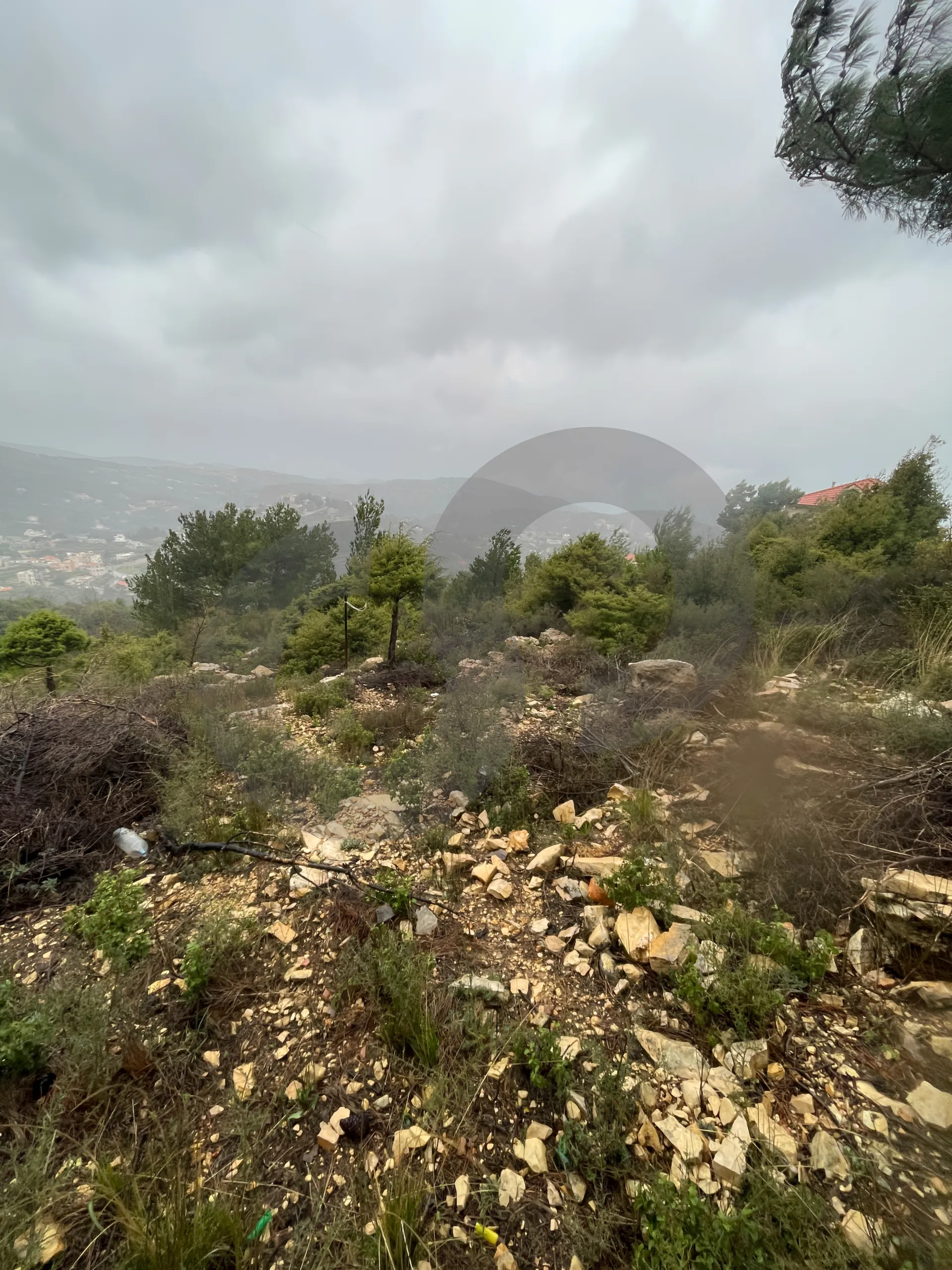 Land for Sale in Lehfed
