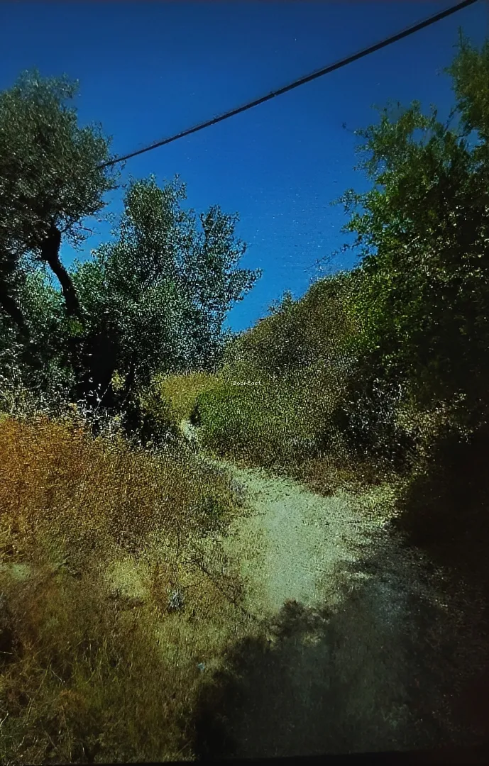 Land for sale in Mejdlaya, lebanon