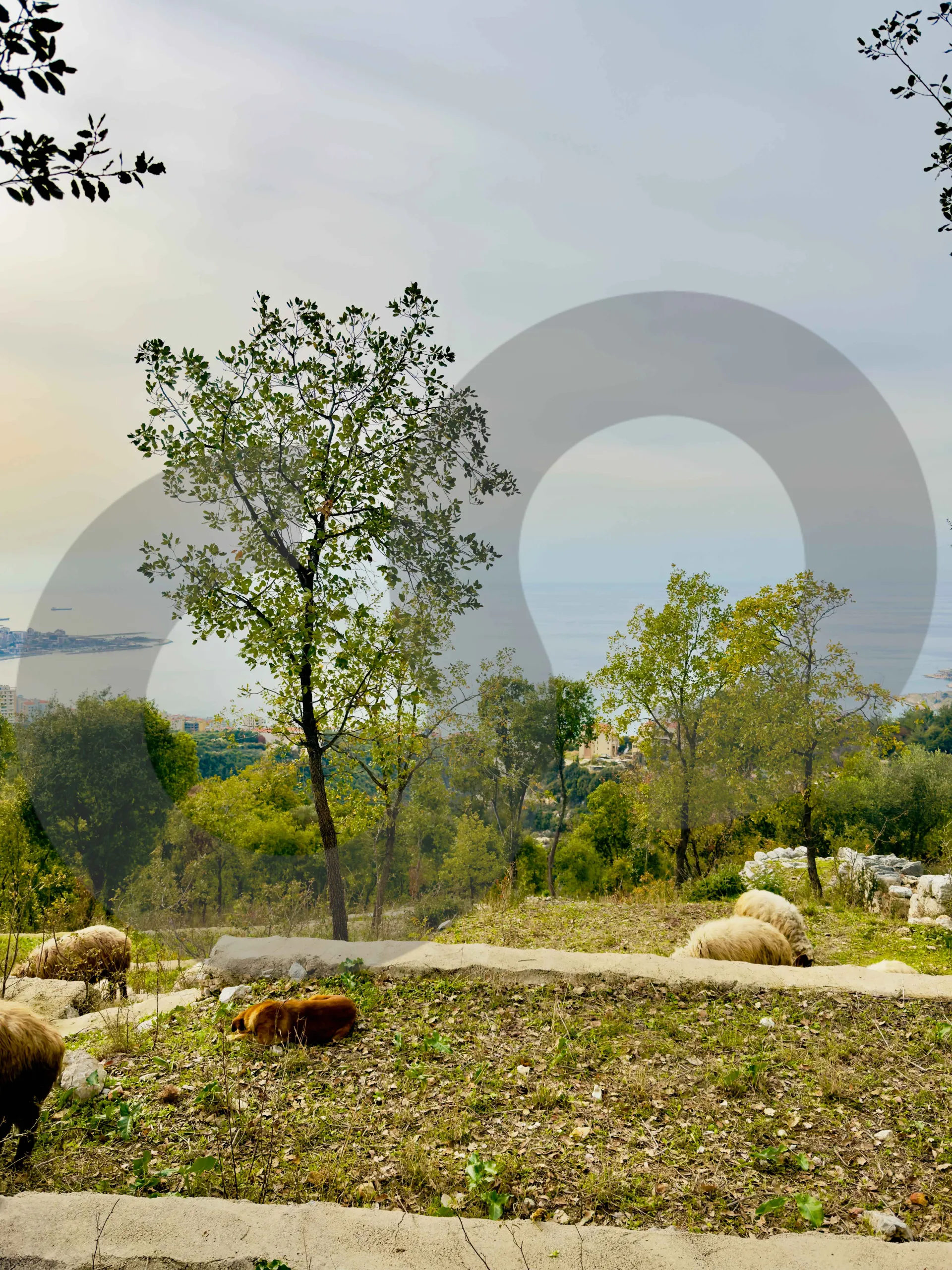 Land for Sale in Chnaneir