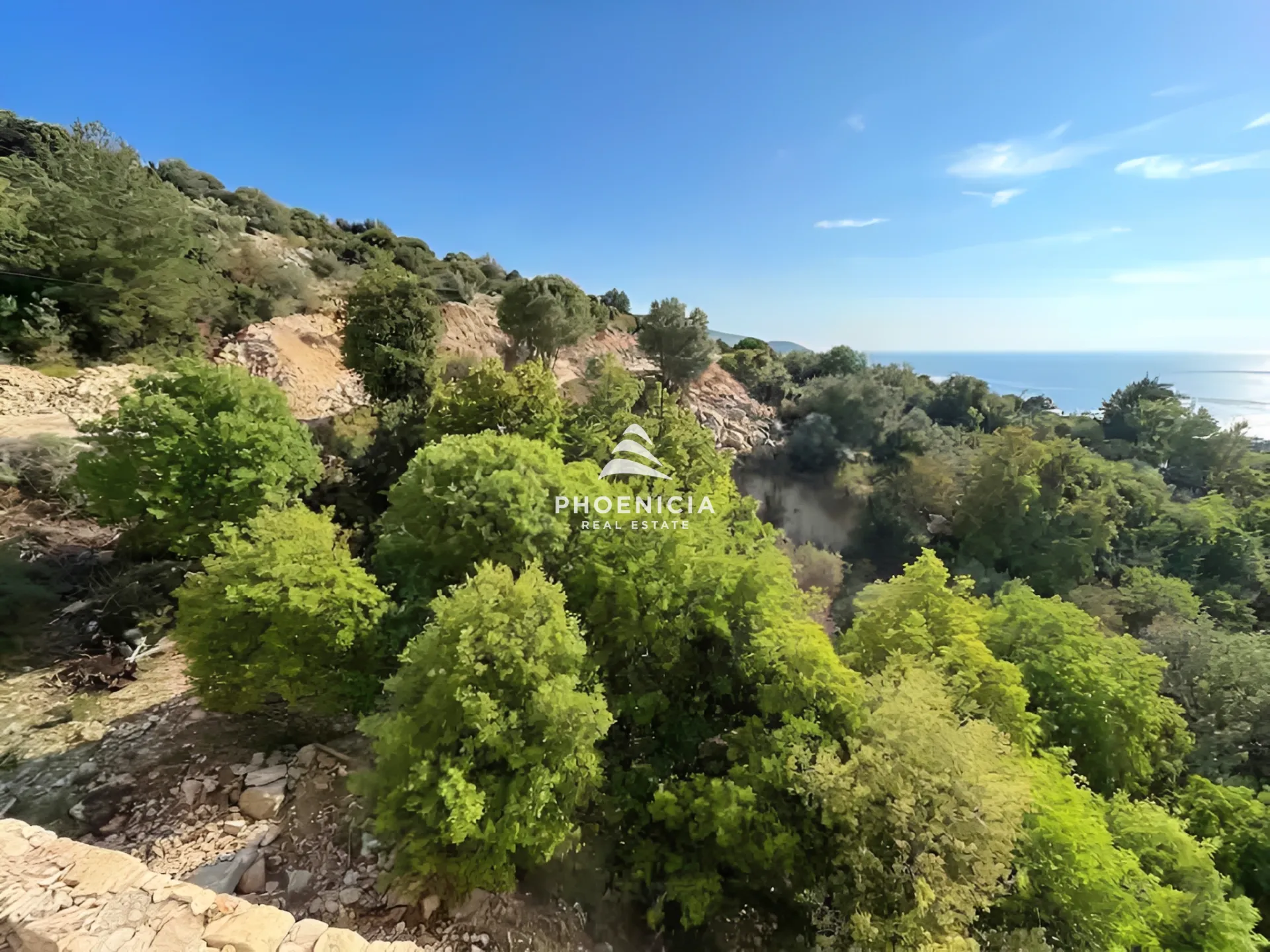 Land for Sale in Fidar