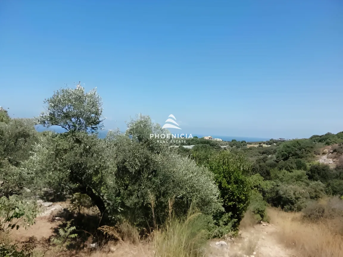 Land for Sale in Monsef