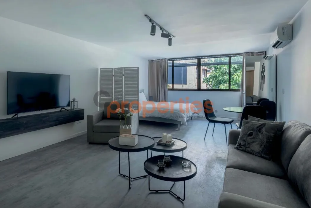 Apartment for Rent in Achrafieh