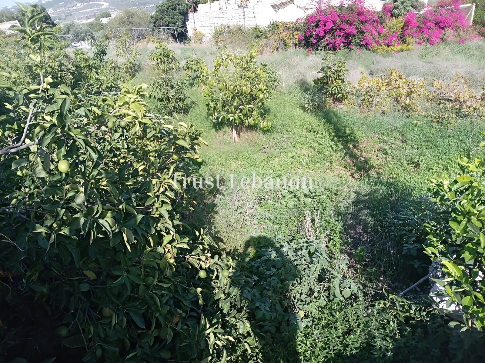 House for sale in Batroun