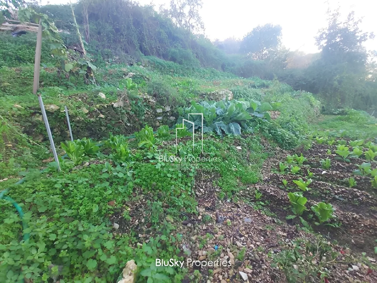 Land for Sale in Namoura