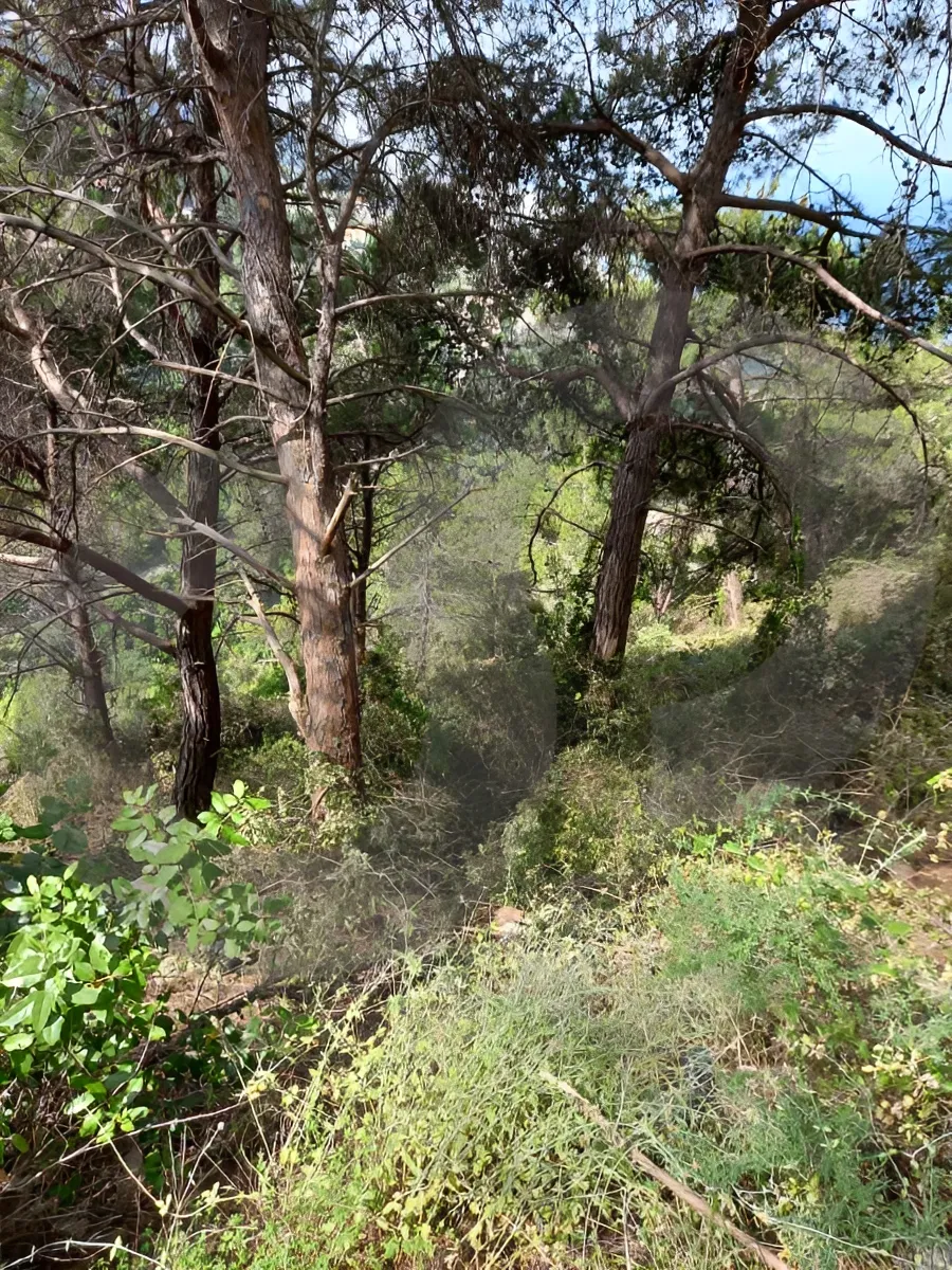 Land for Sale in Kafr, Lebanon
