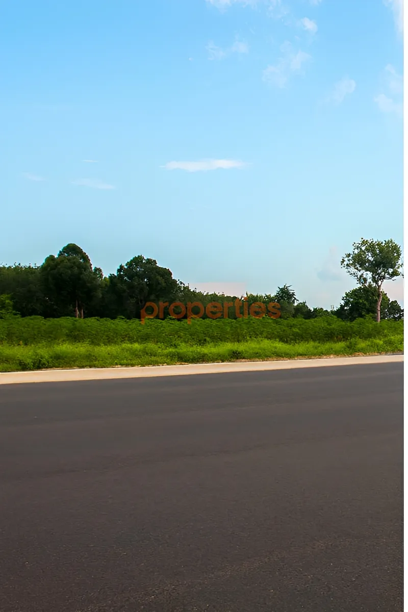 Land for Sale in Safra