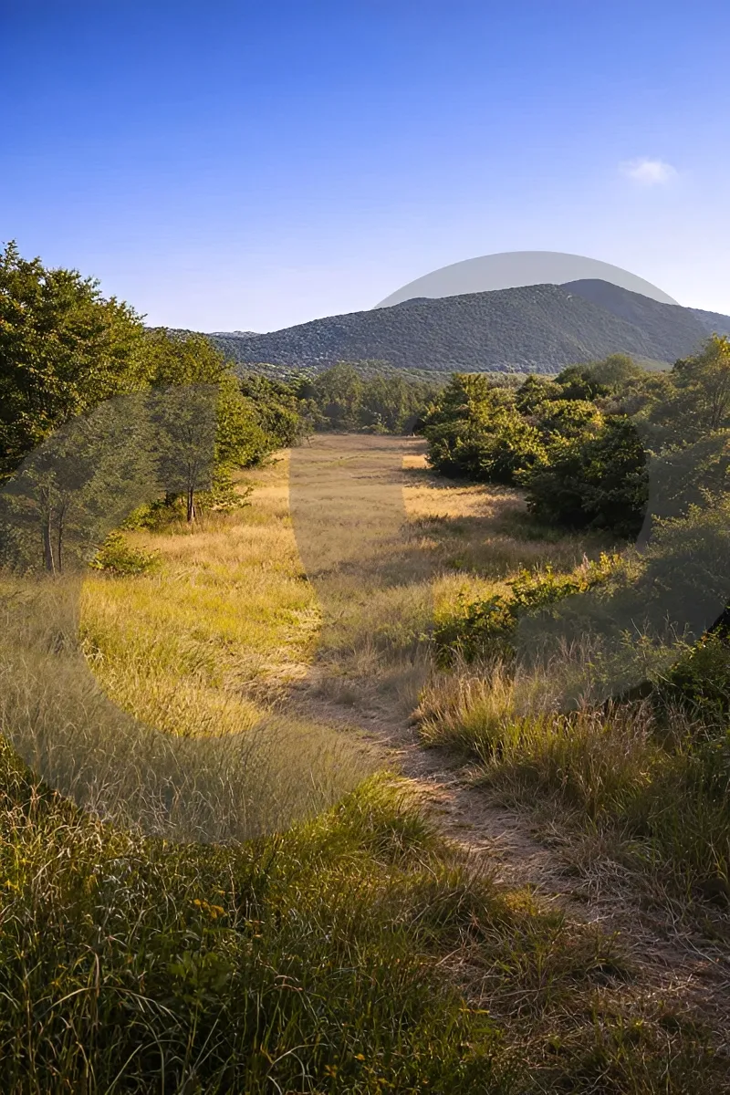 Land for Sale in Jezzine, Lebanon
