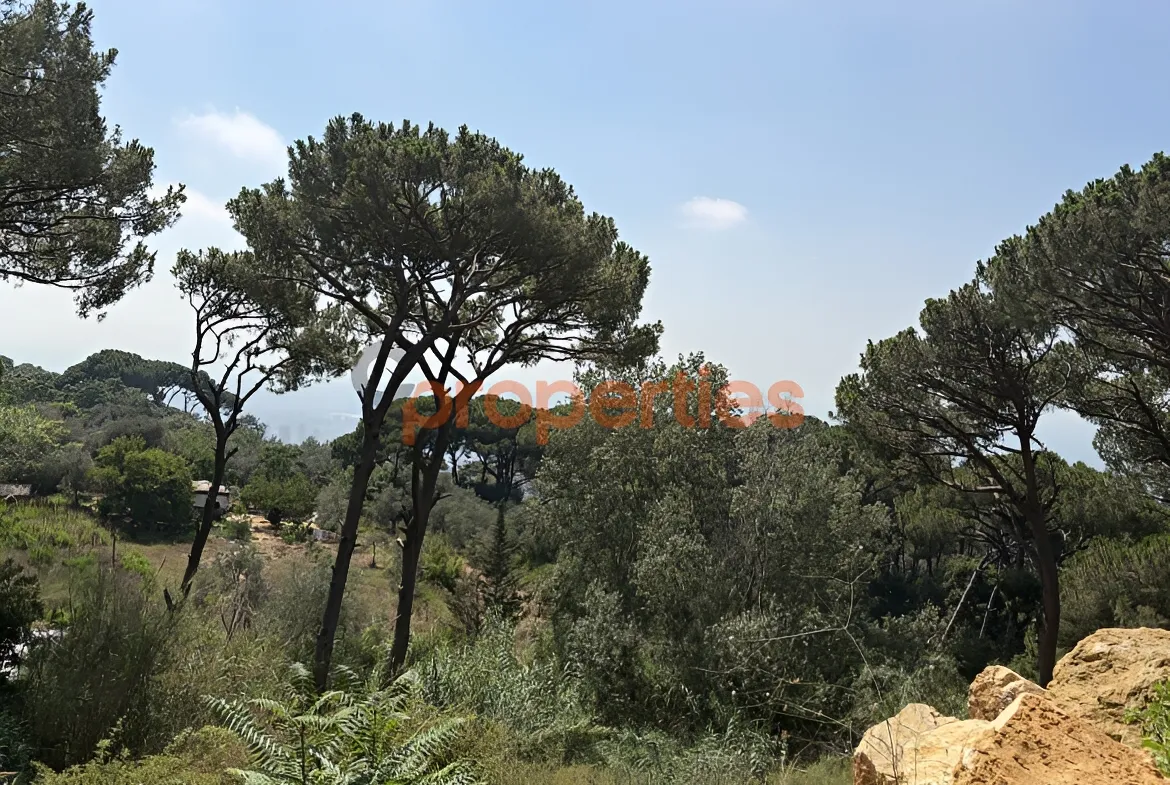 Residential Land for Sale in Ain Saadeh