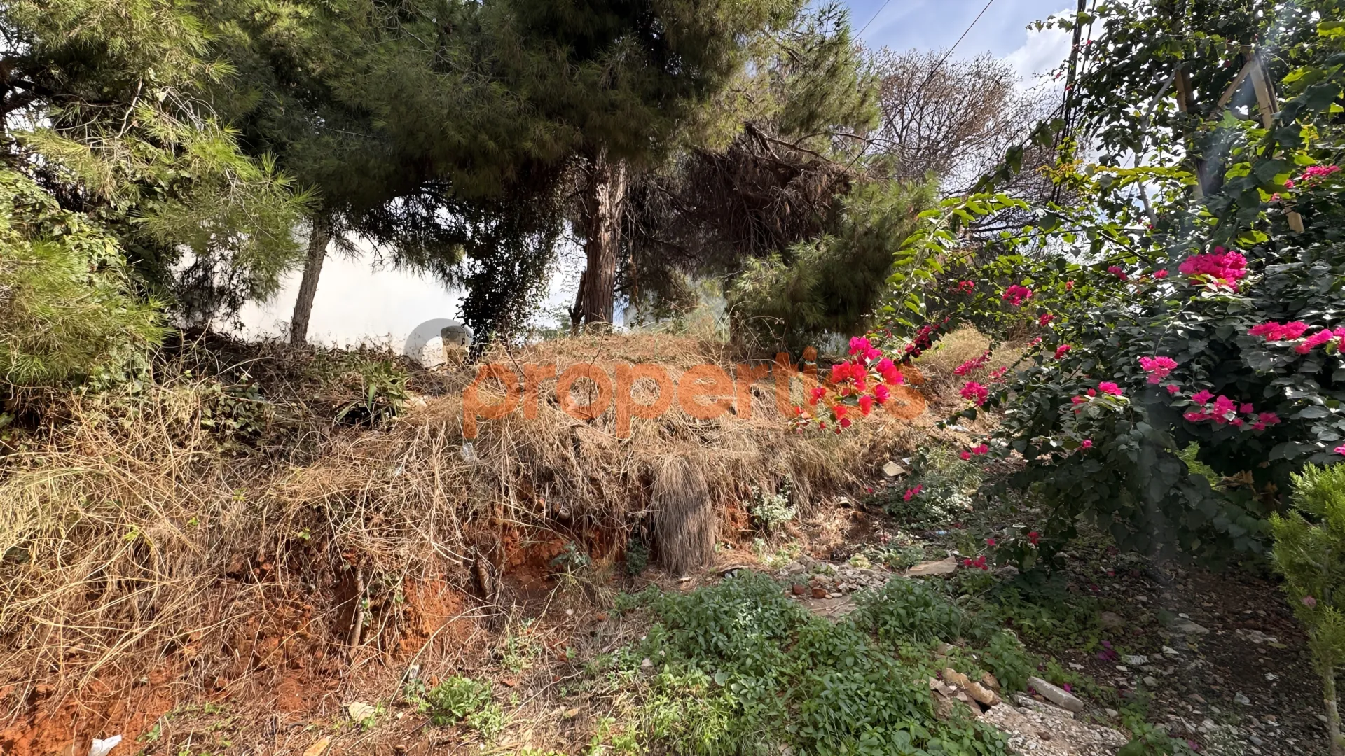 Residential Land for Sale in Aaoukar