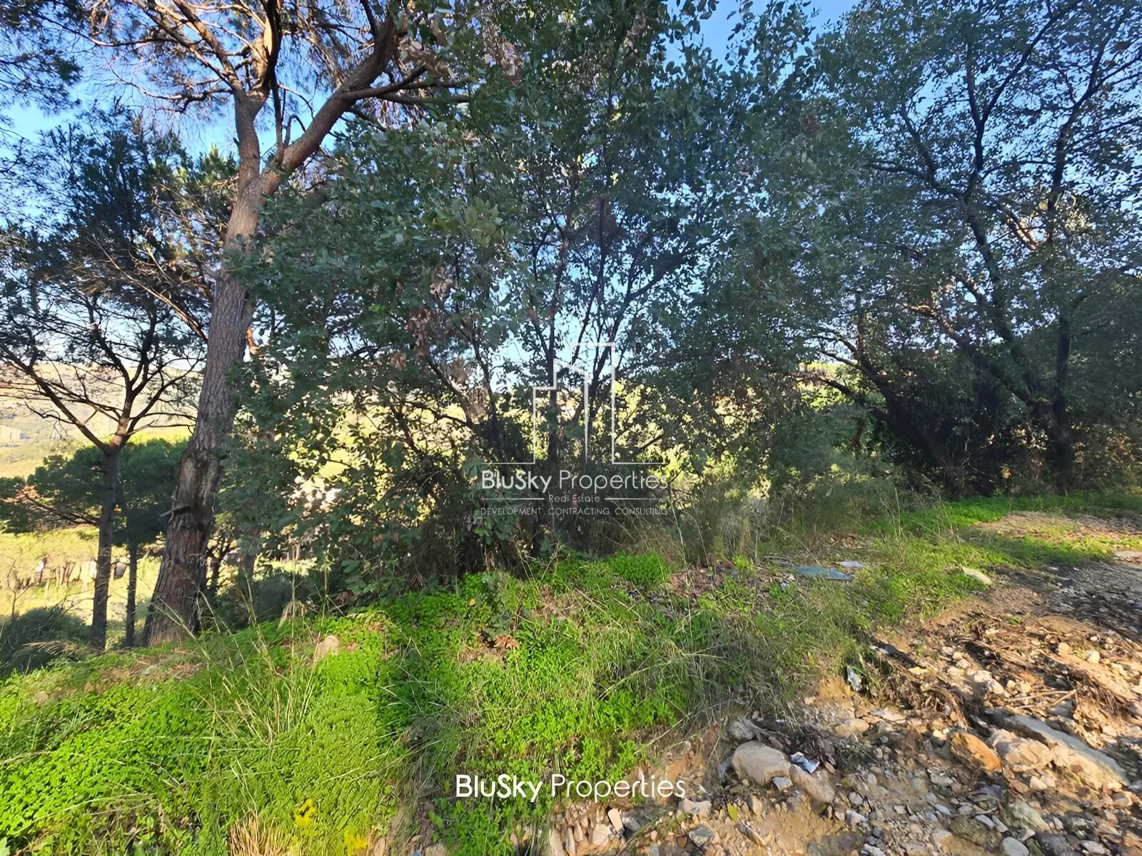 Land for Sale in Araya
