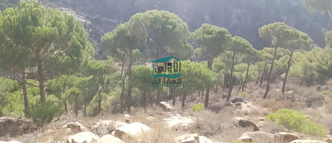 Land in الكفير، حاصبيّا، lebanon