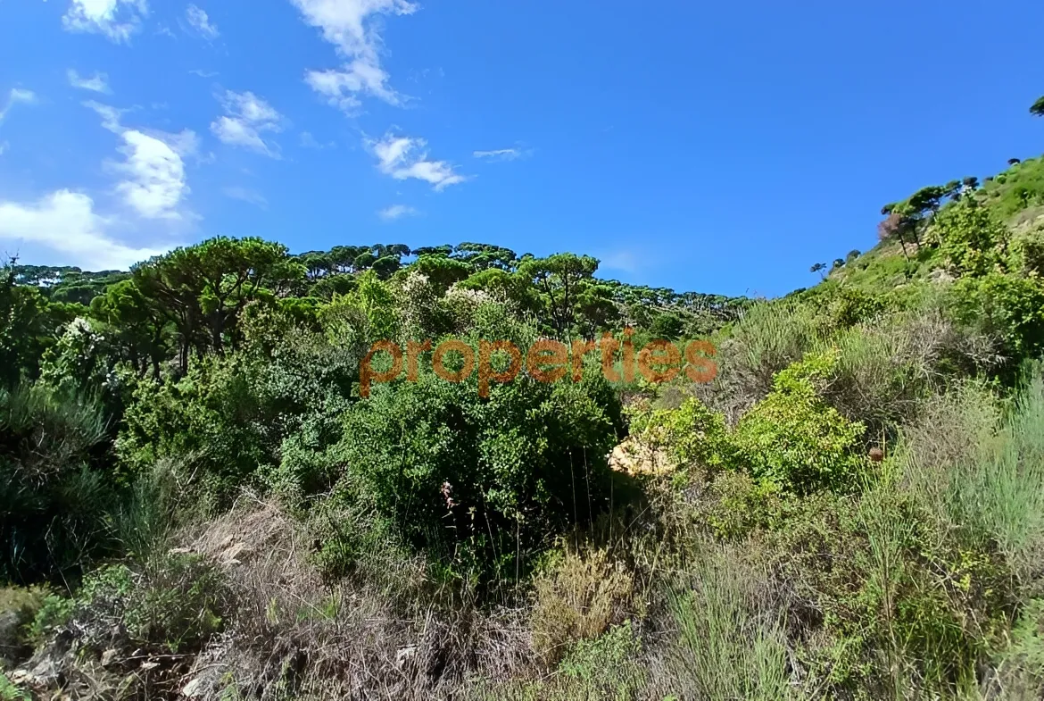 Residential Land for Sale in Dhour El Choueir