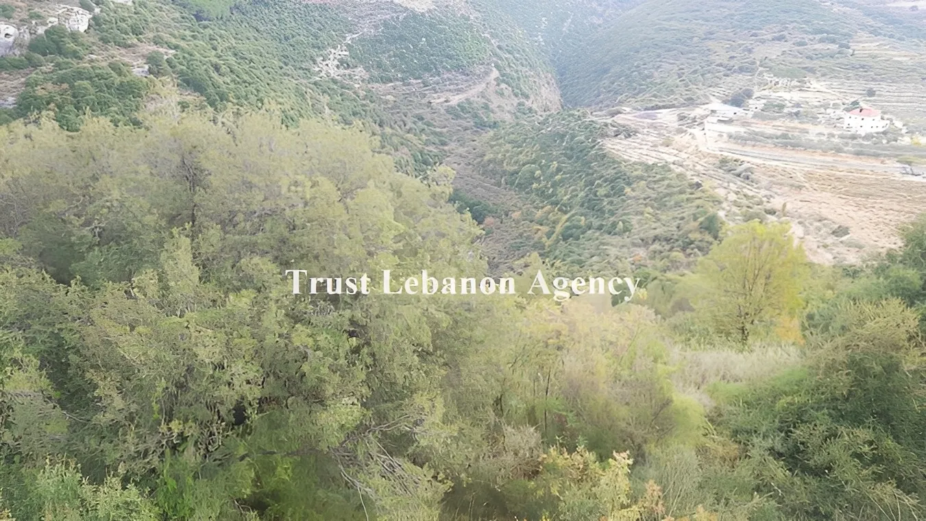 Land for Sale in Batroun, Chabtine