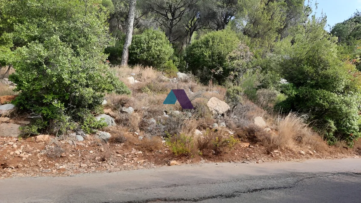 Land for Sale in Broummana