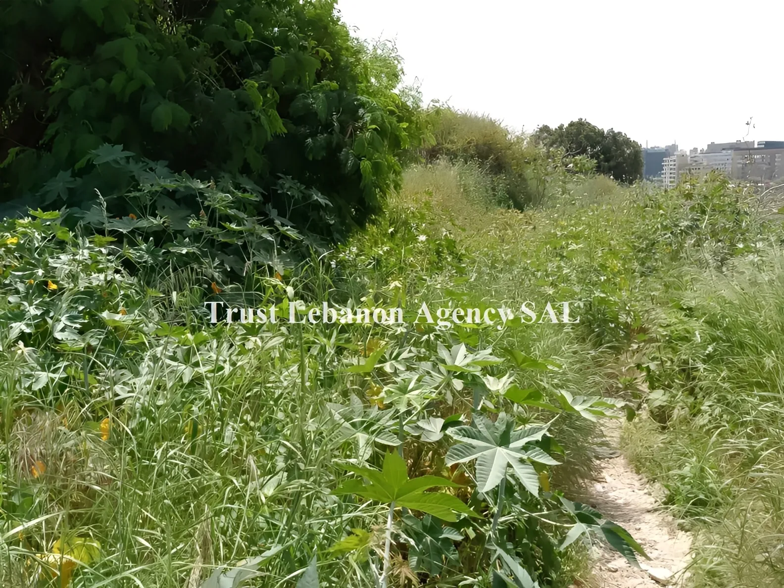 Land for Sale in Metn Sin El Fil Lebanon