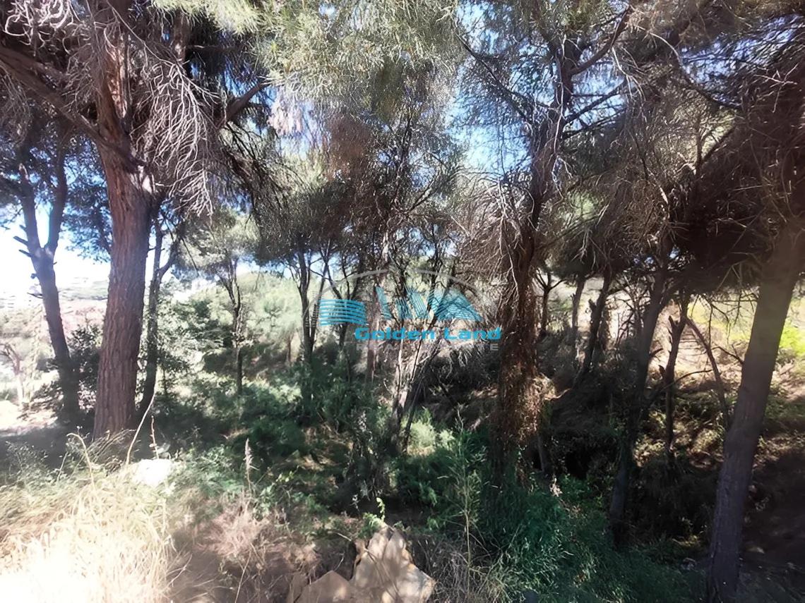 Land for Rent in Mtaileb, Lebanon