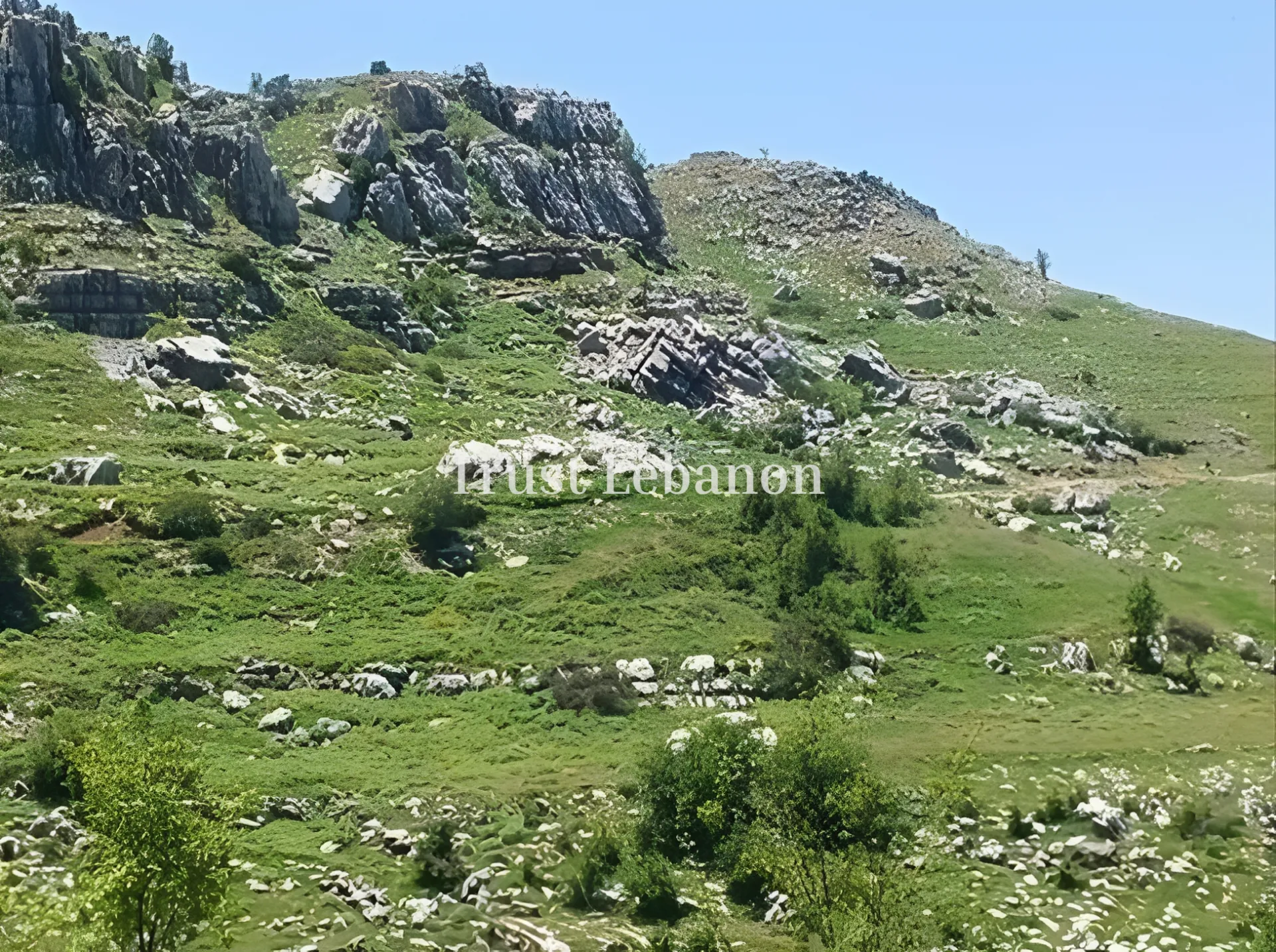 Residential Land for sale in Mtein