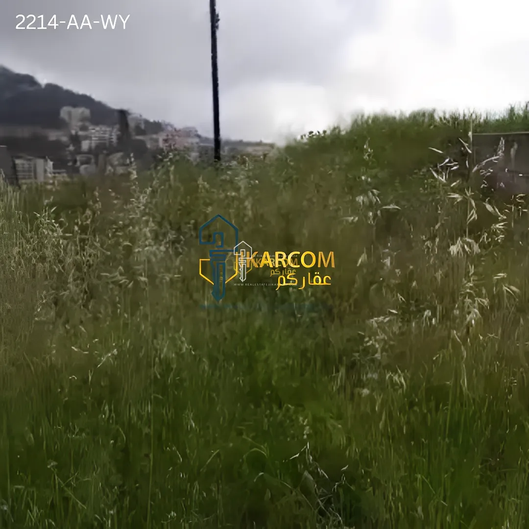 Land for Sale in Ain Aalaq