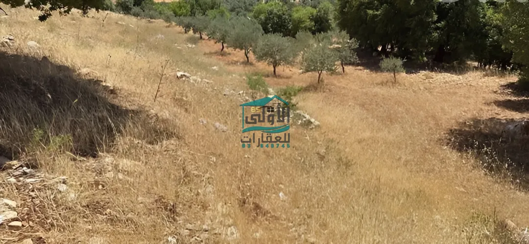 Land in كوكبا، راشيَا، lebanon