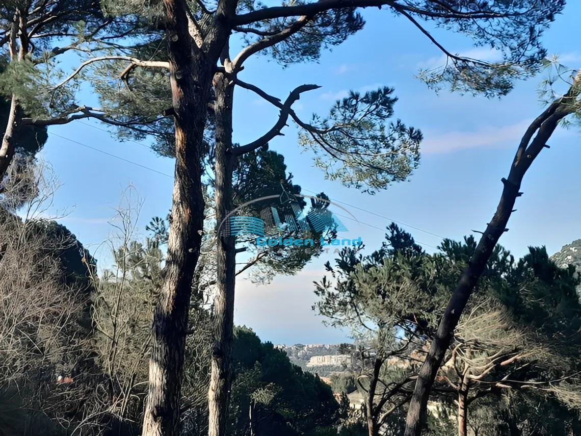 Land for Sale in Mar Chaaya, Lebanon