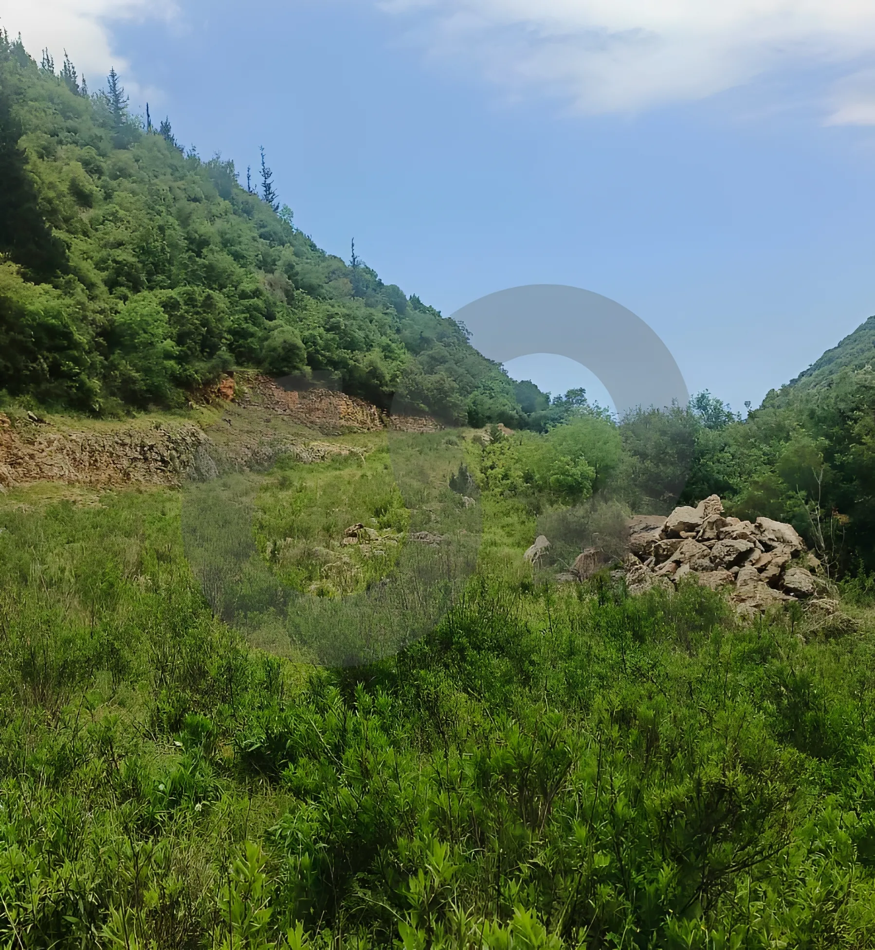 Land for Sale in Maaysrah