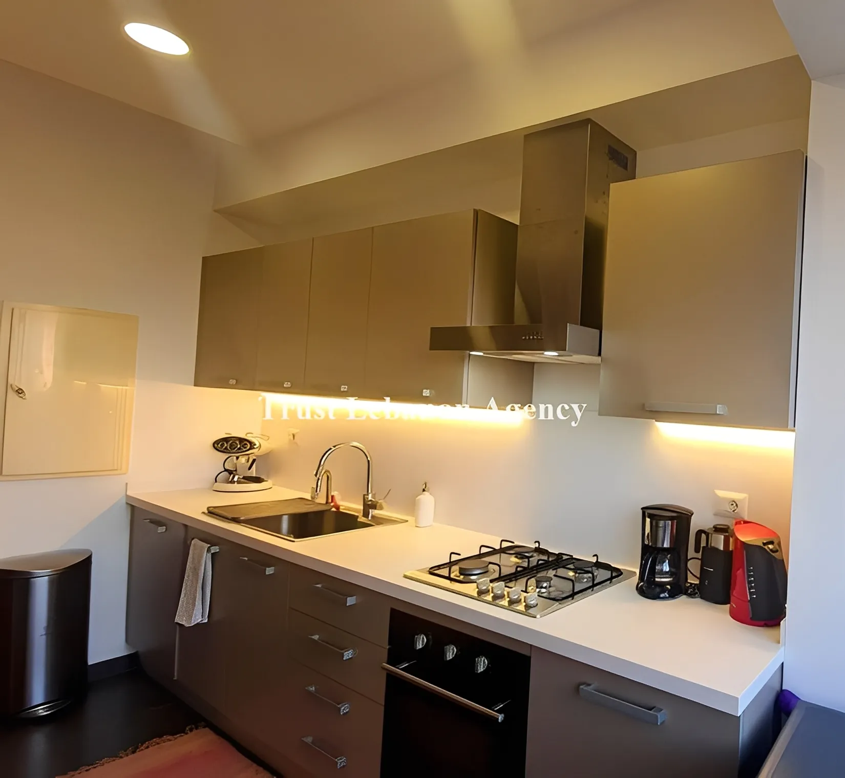Apartment for Rent in Achrafieh Lebanon
