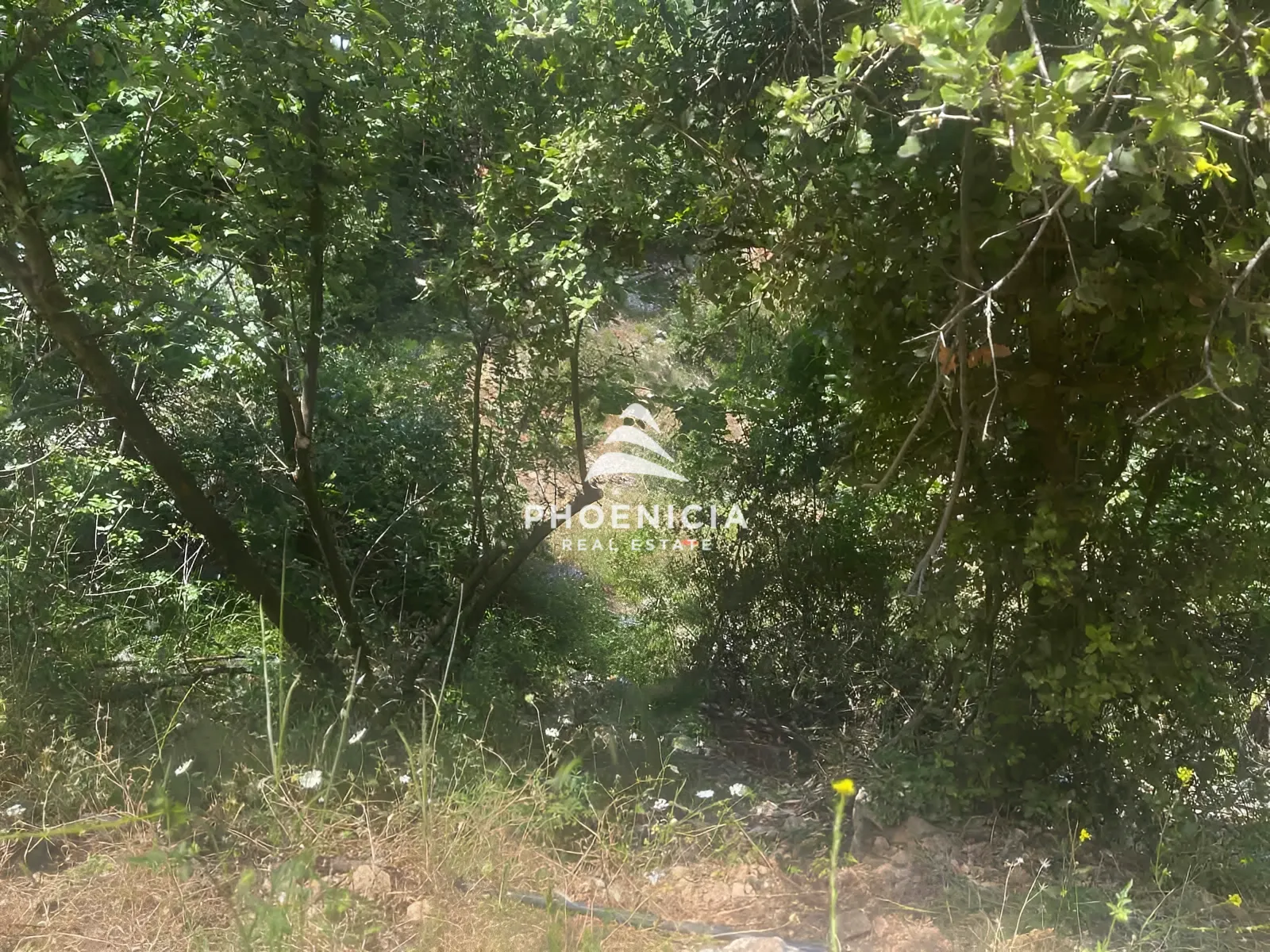 Residential Land for sale in Aabeidat, Jbeil, Lebanon