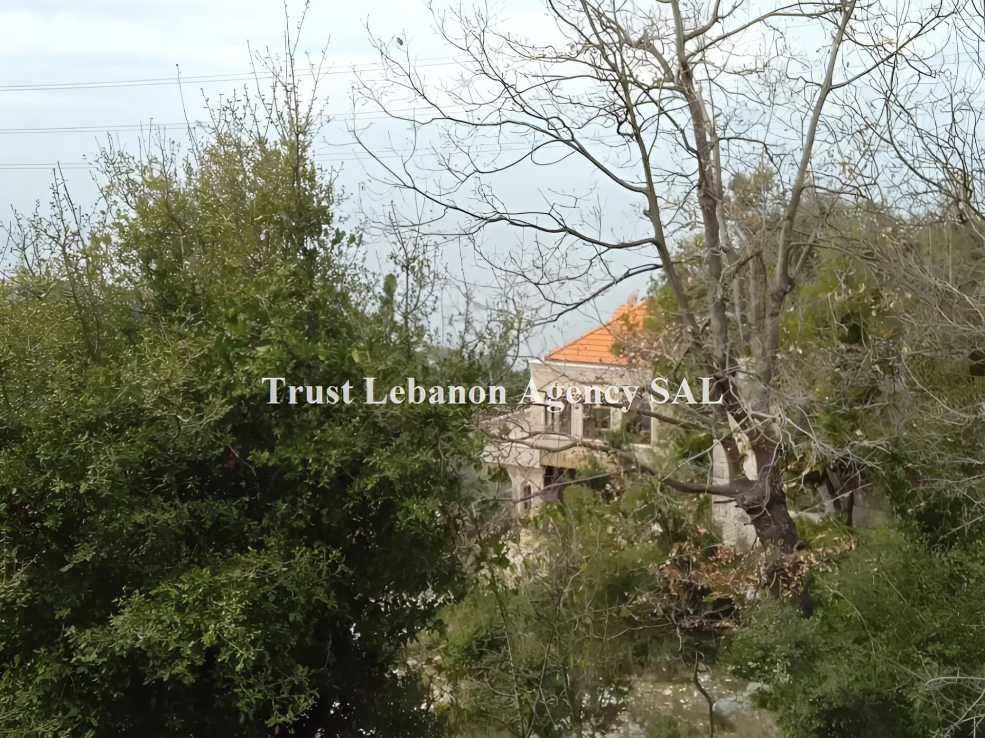 Land for Sale in Keserwan Ashkout Lebanon