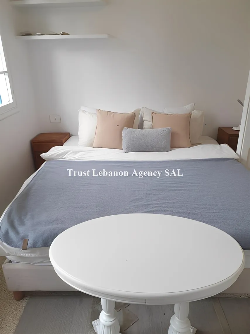 Apartment for Rent in Ashrafieh Beirut Lebanon