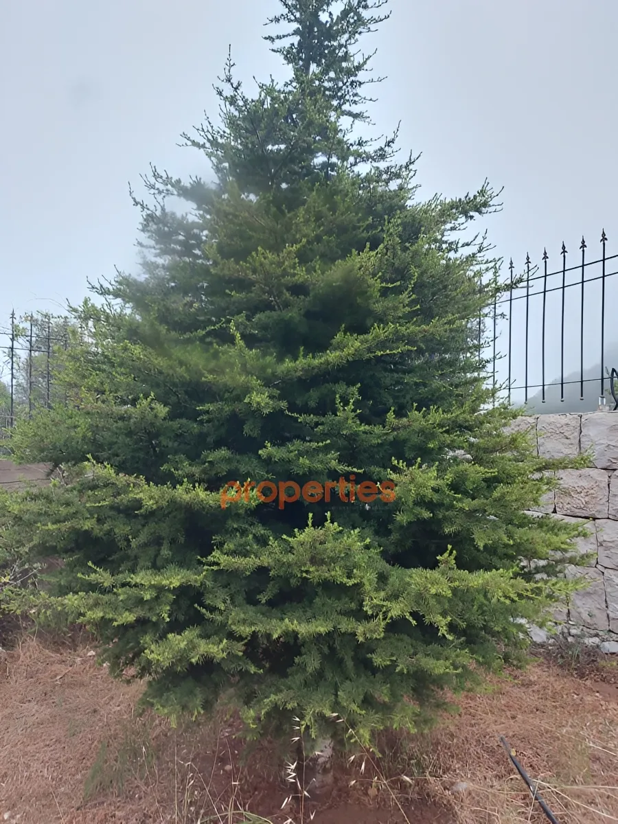 Land for Sale in Ghineh