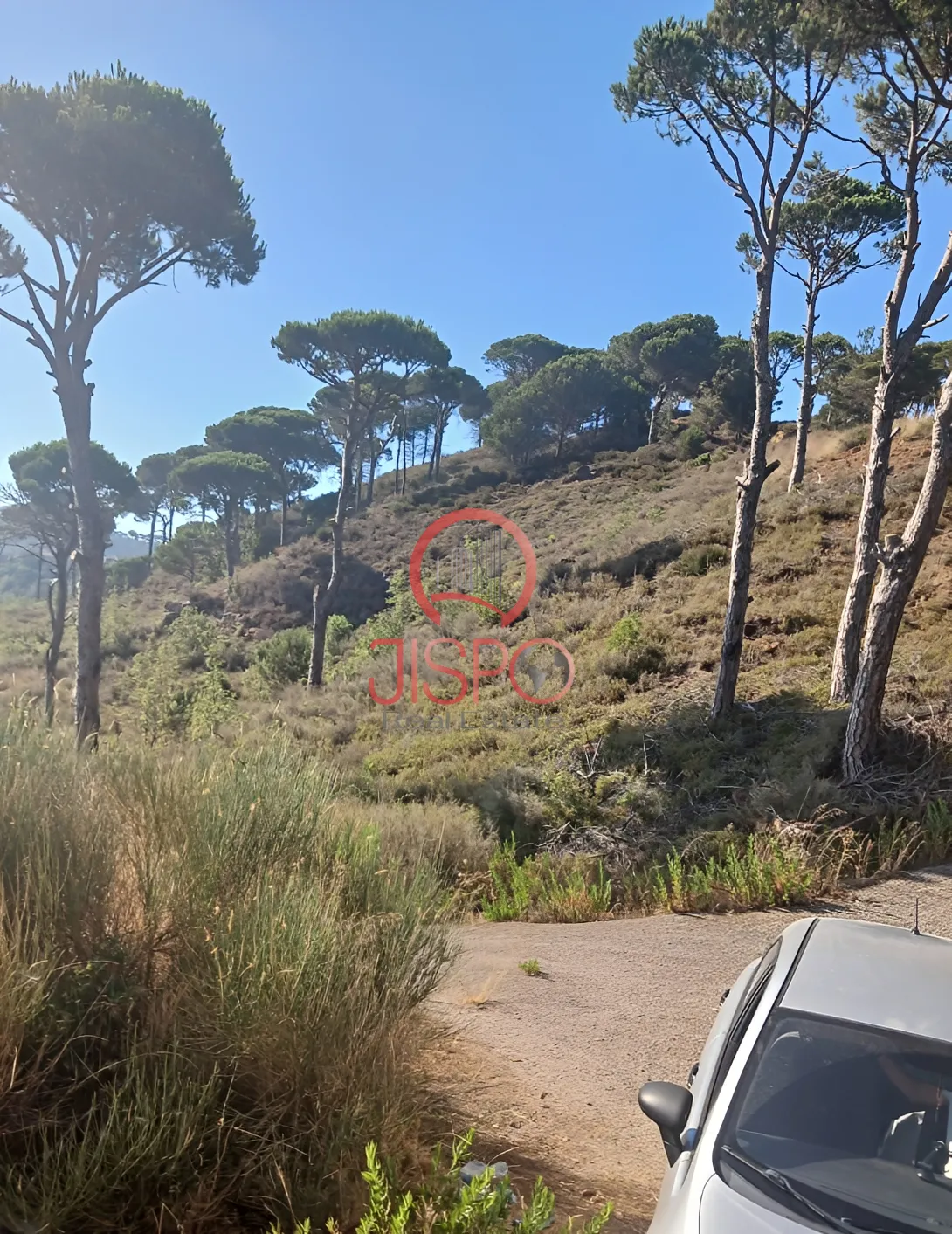 Land for Sale in Douar