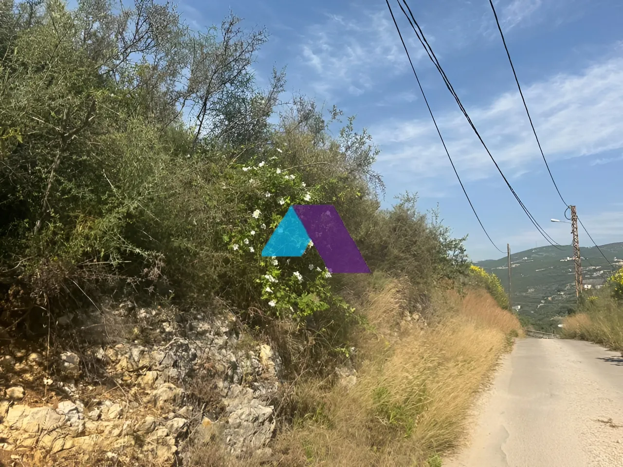 Land for Sale in Aamchit
