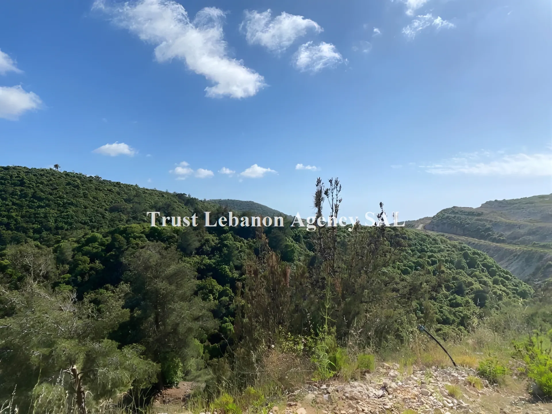 Land for Sale in Chouf Daher Al Maghara
