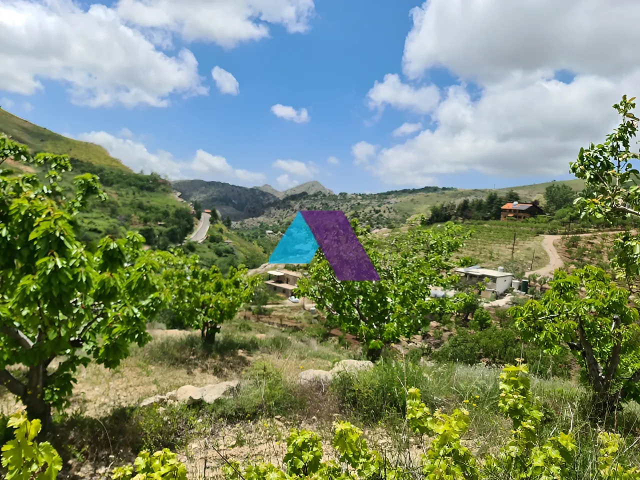 Land for Sale in Batroun
