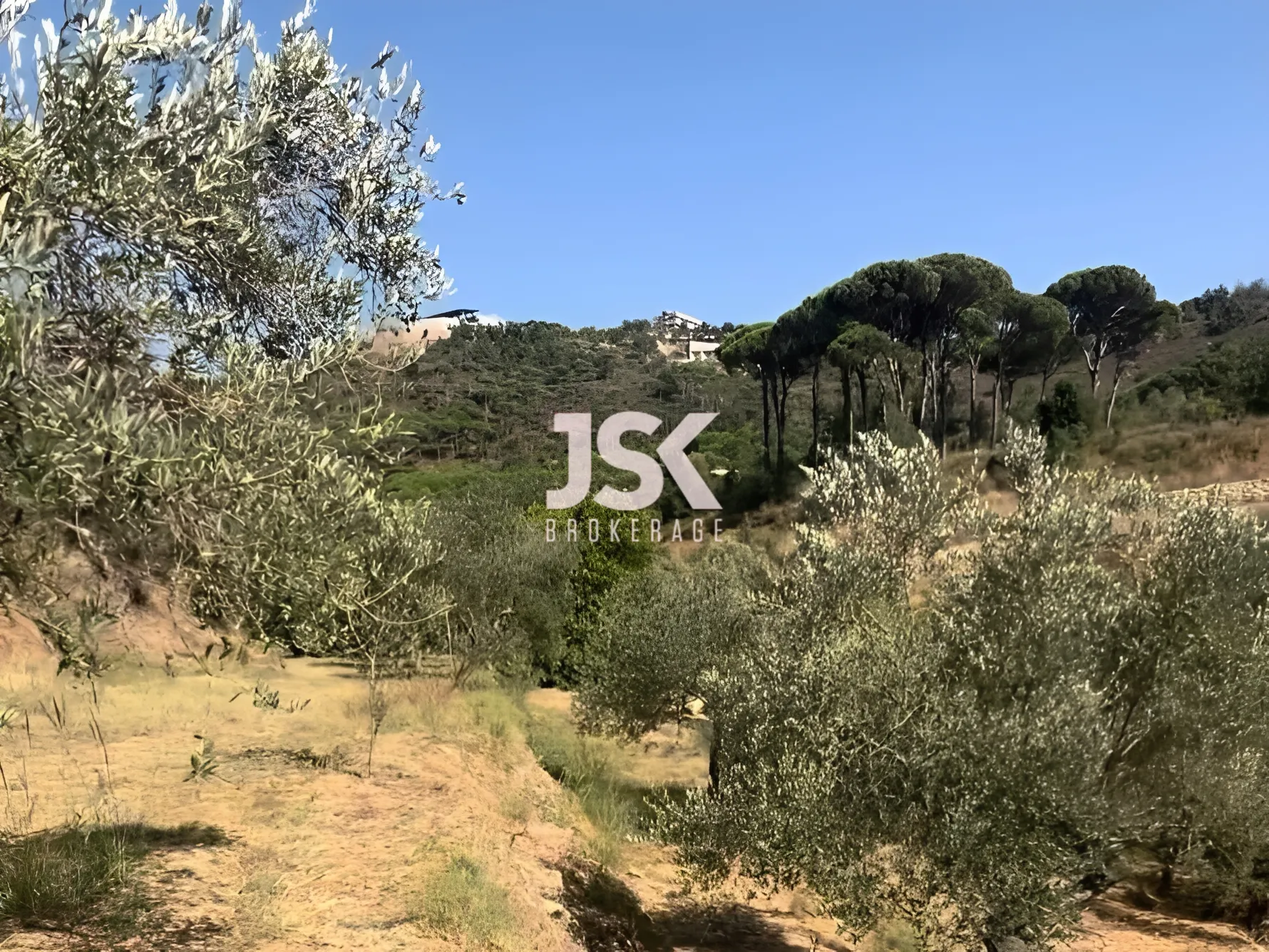 Land for Sale in Aley