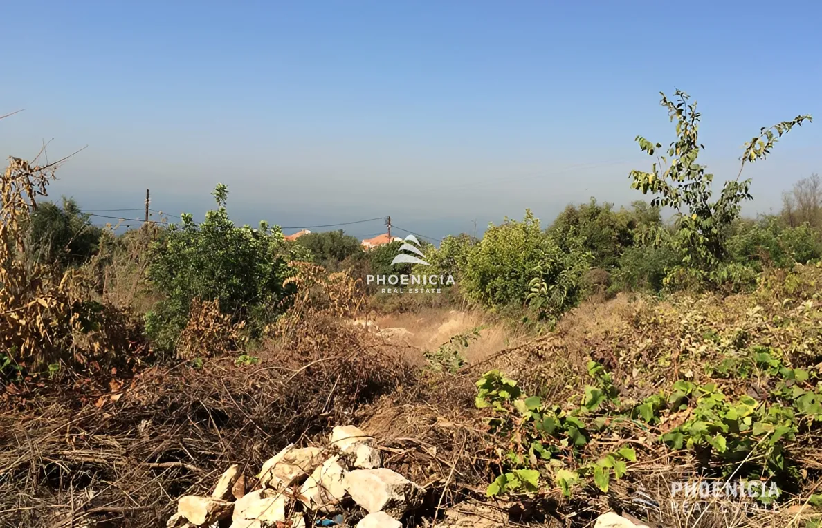Land for Sale in Edde