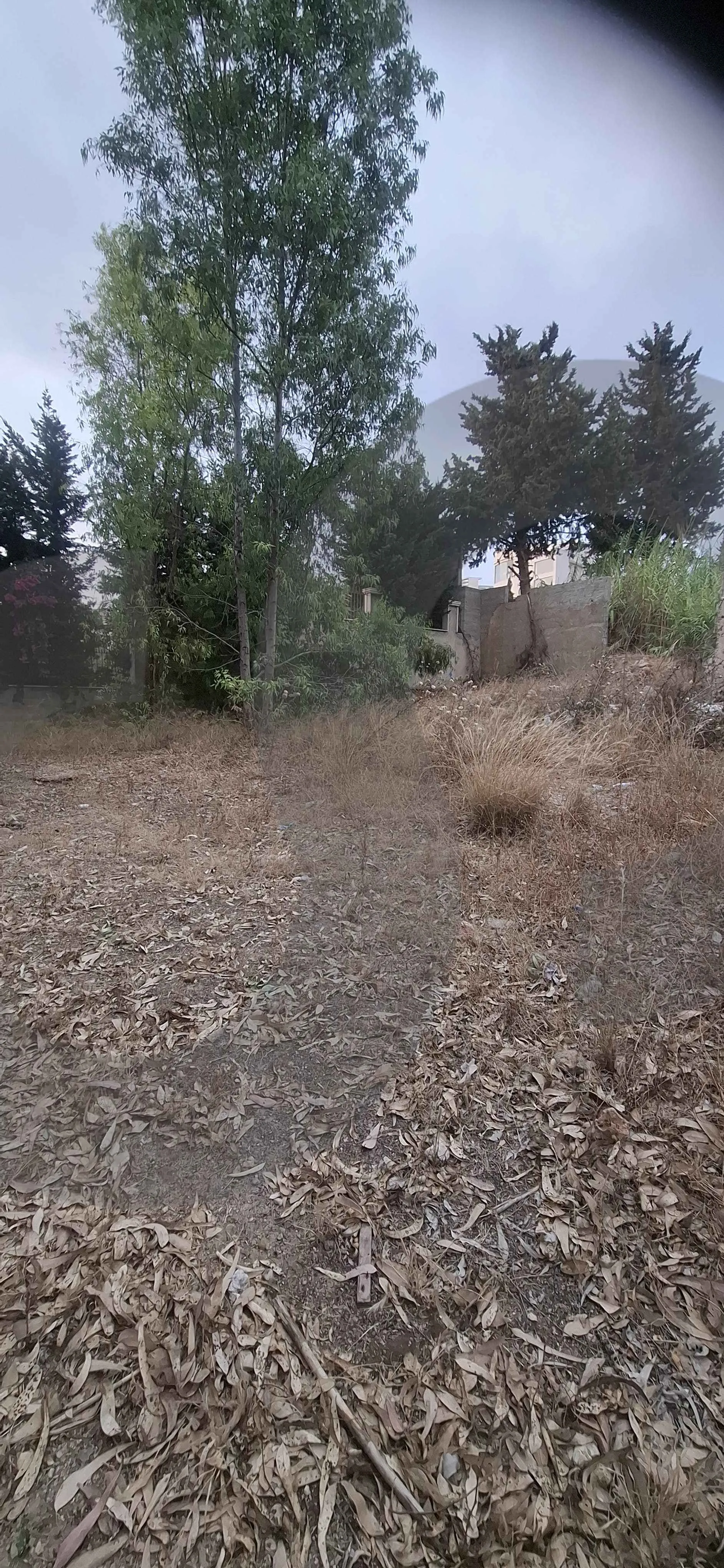 Building for Sale in Barja