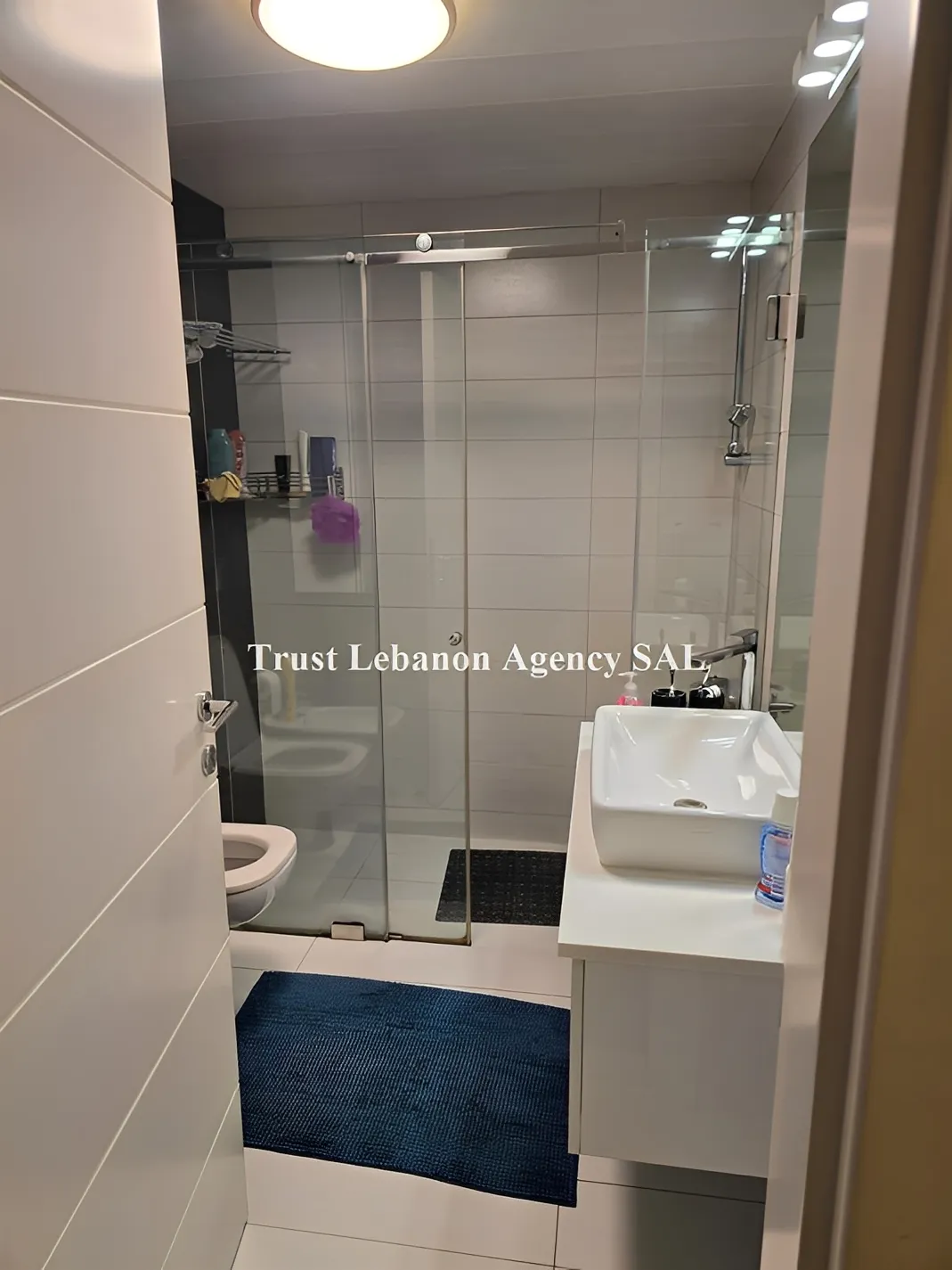 Apartment for Sale in Ashrafieh Beirut Lebanon