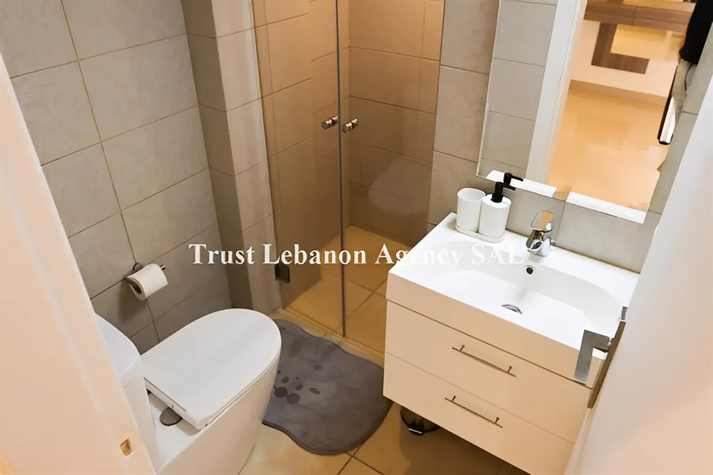 Apartment for Rent in Ashrafieh Beirut Lebanon