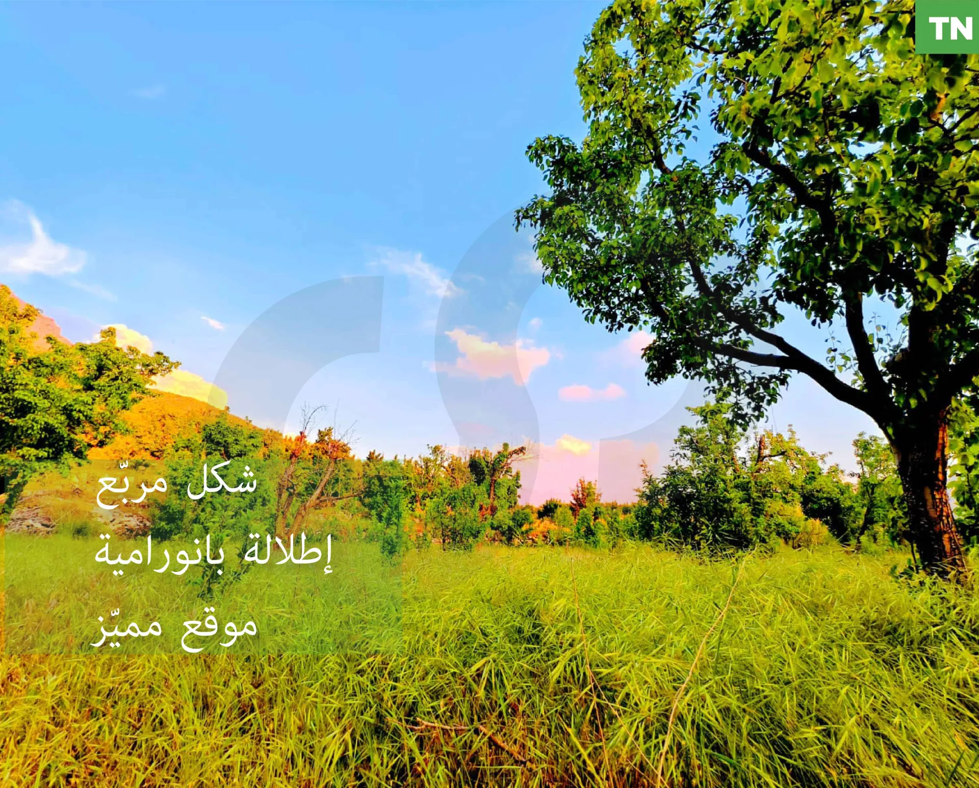 Land for Sale in Ehden