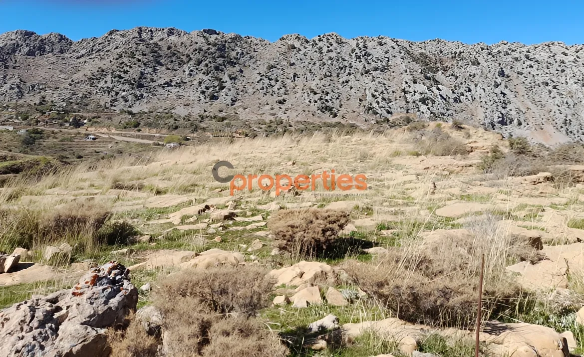 Residential Land for Sale in Laqlouq