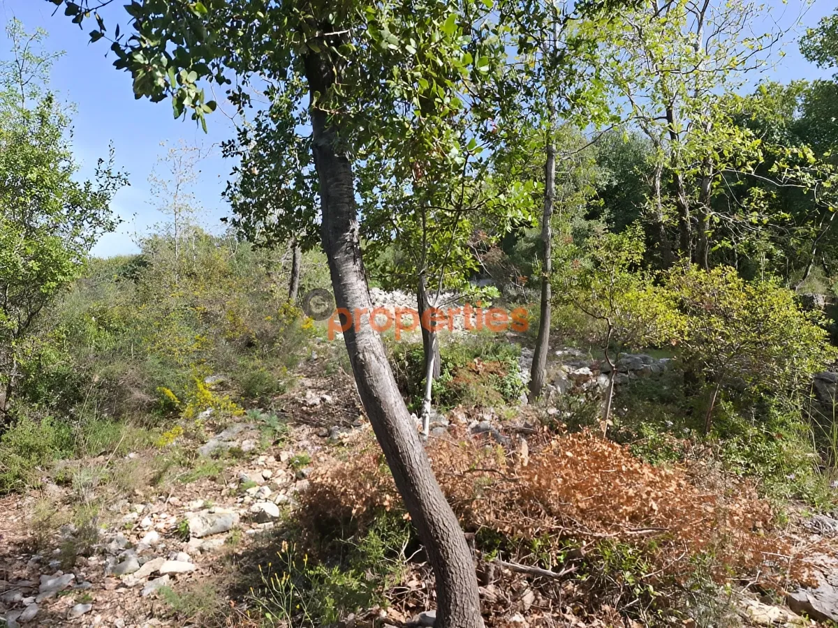 Land for Sale in Byblos