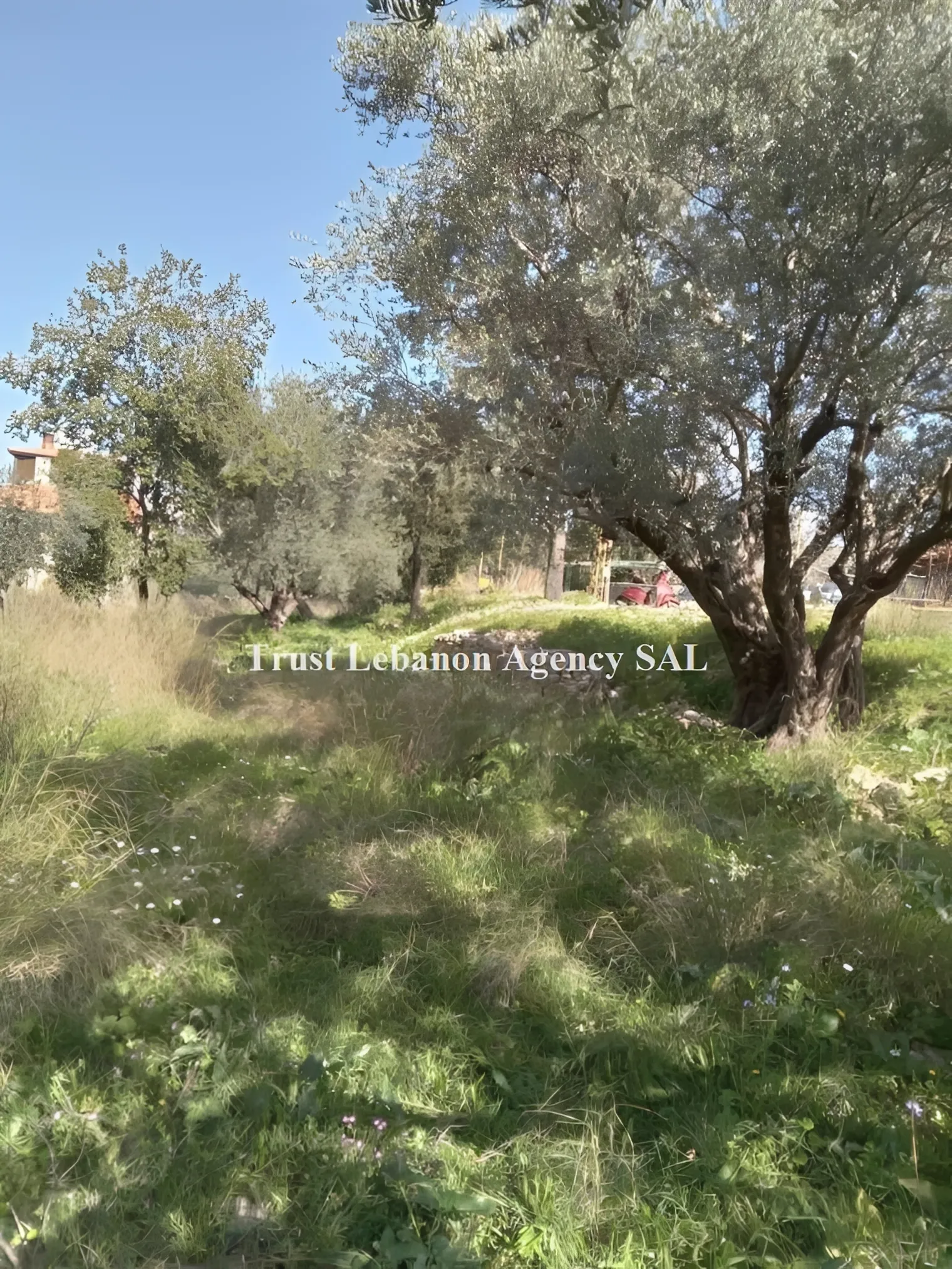 Land for Sale in Metn Miyesseh Lebanon