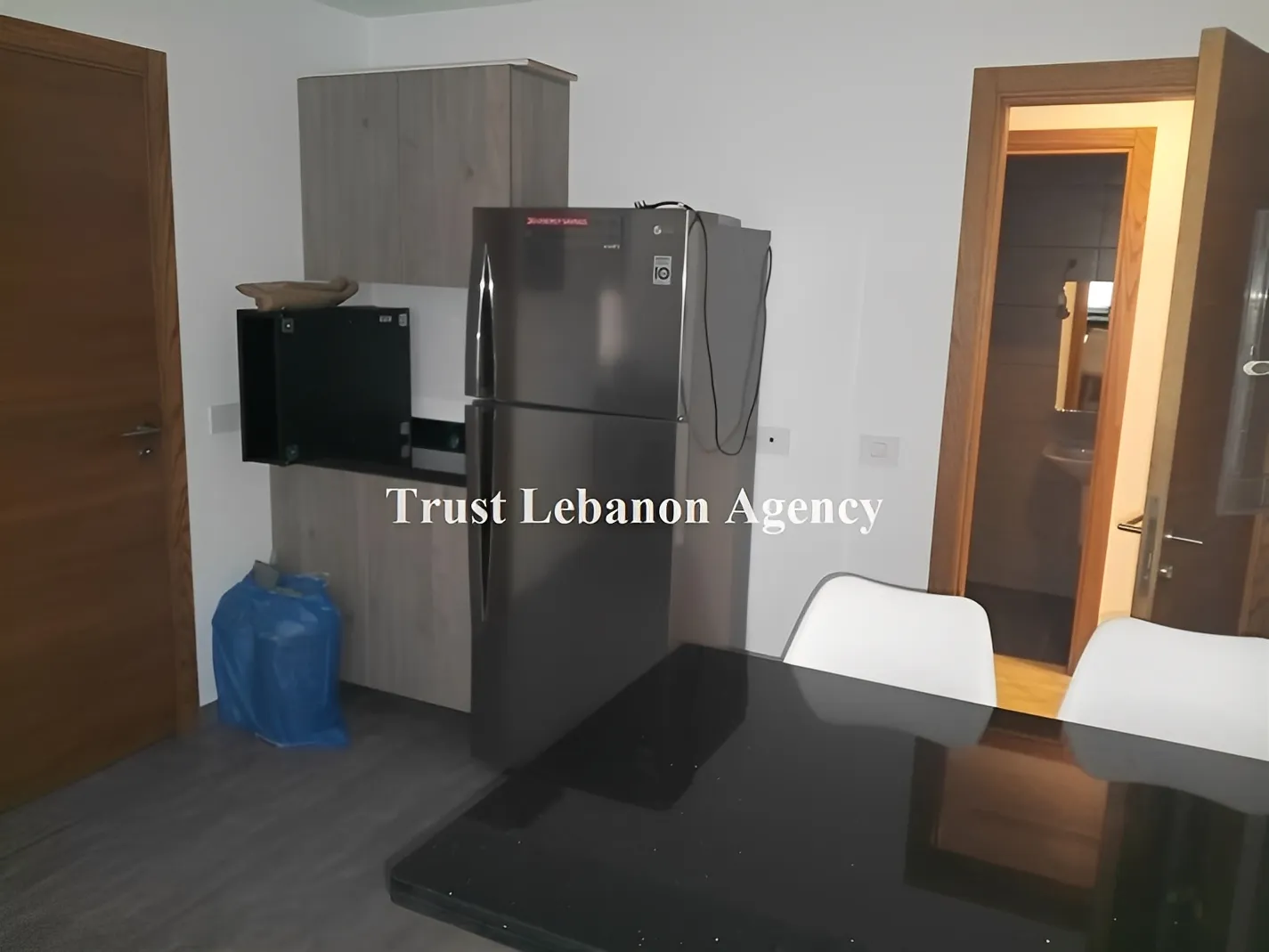Apartment for Rent in Adliyeh Beirut Lebanon
