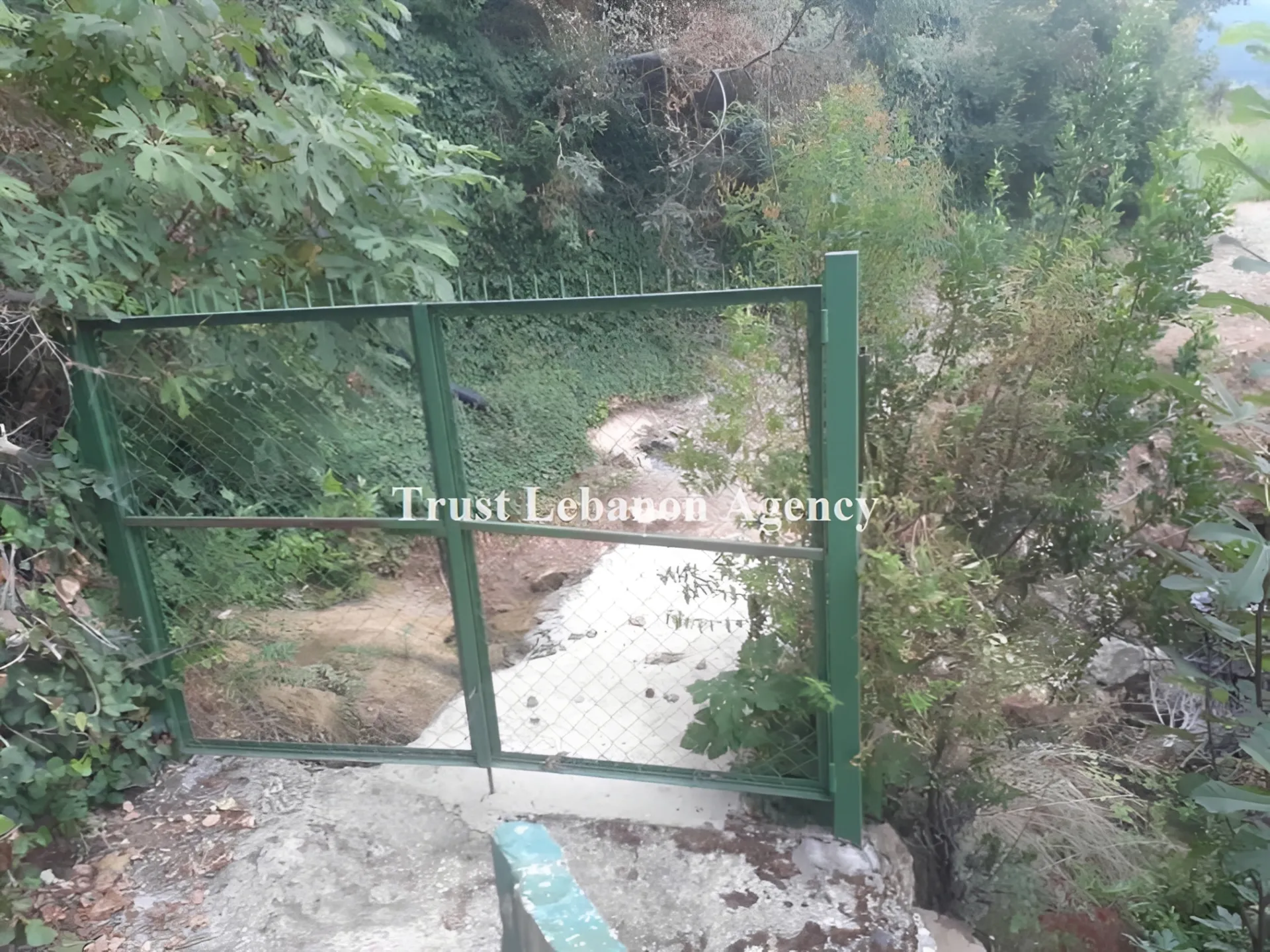 Land for Sale in Jezzine