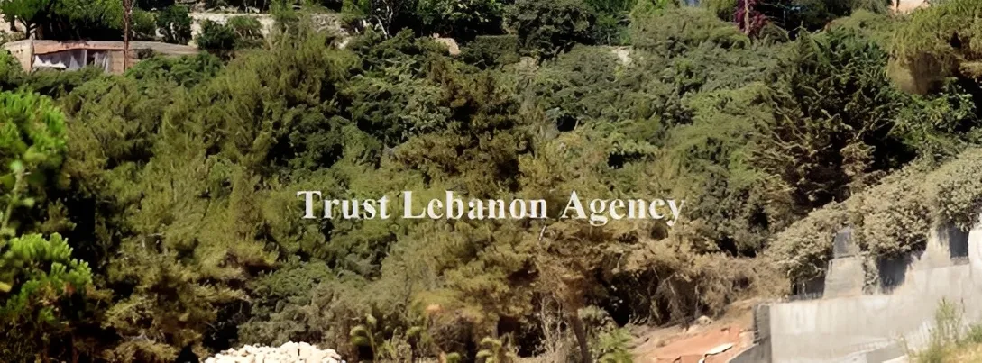 Land for Sale in Metn Jouret El Ballout Lebanon