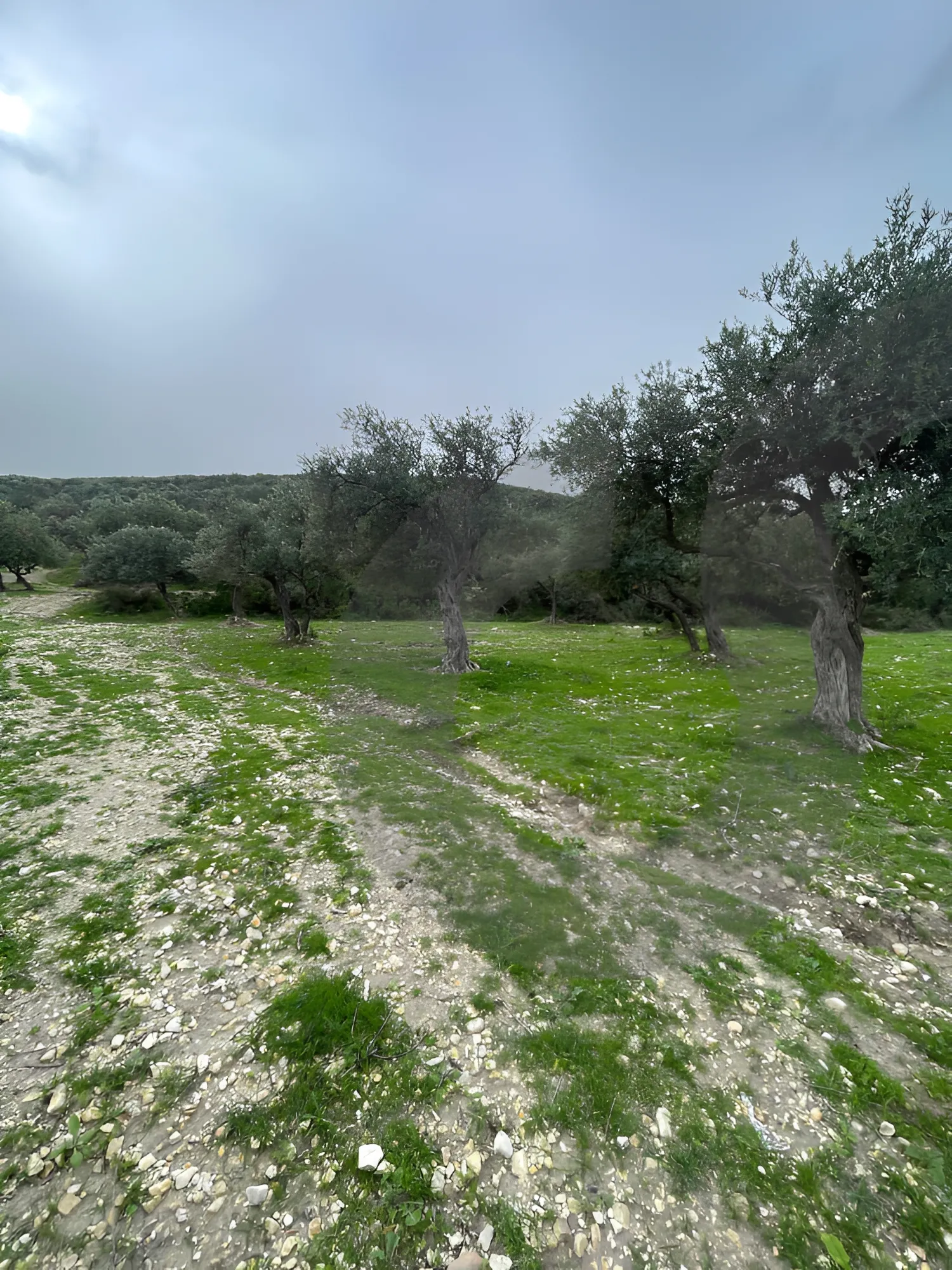 Land for Sale in Chekka