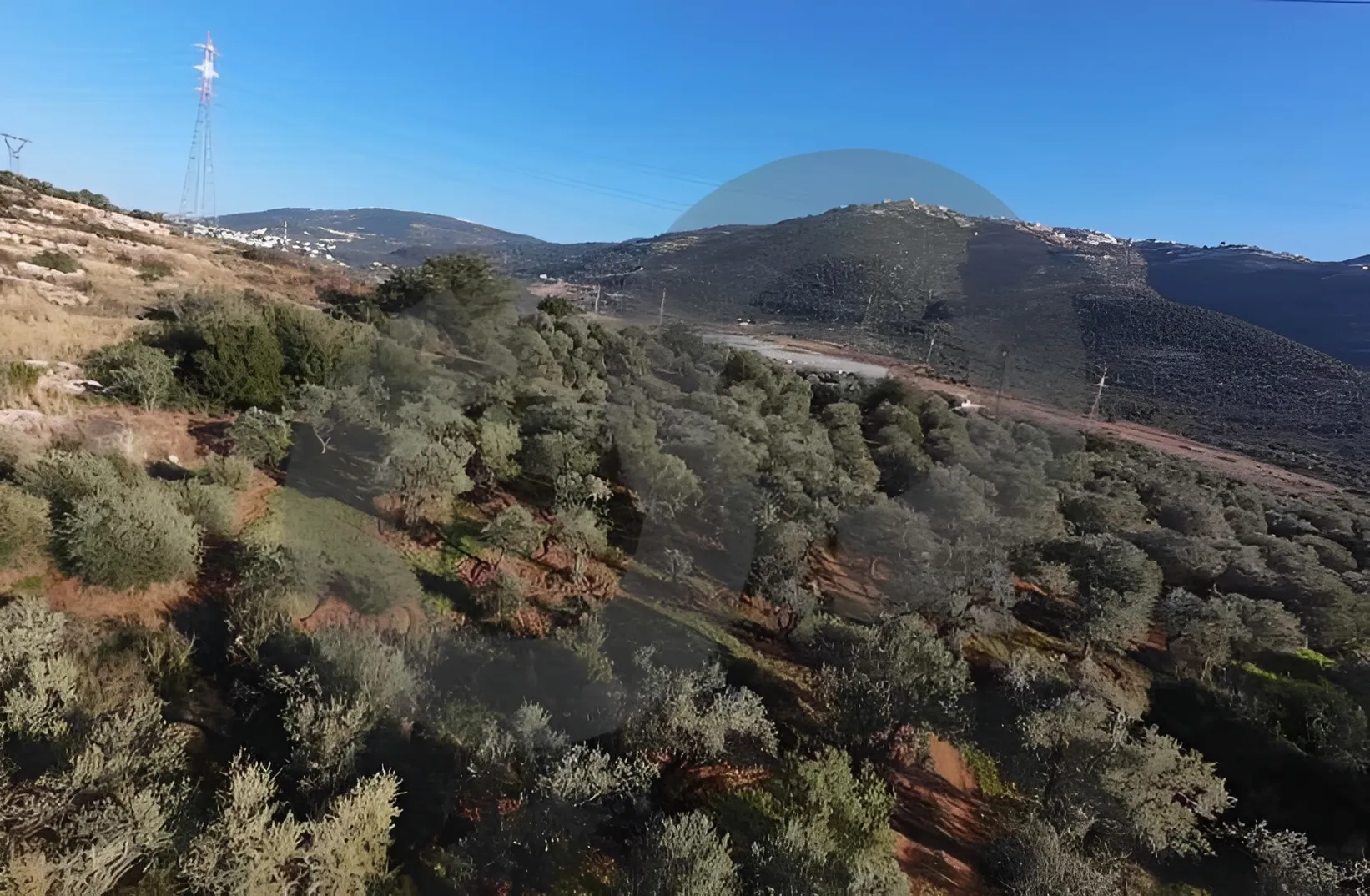 Land for Sale in Zgharta, Lebanon