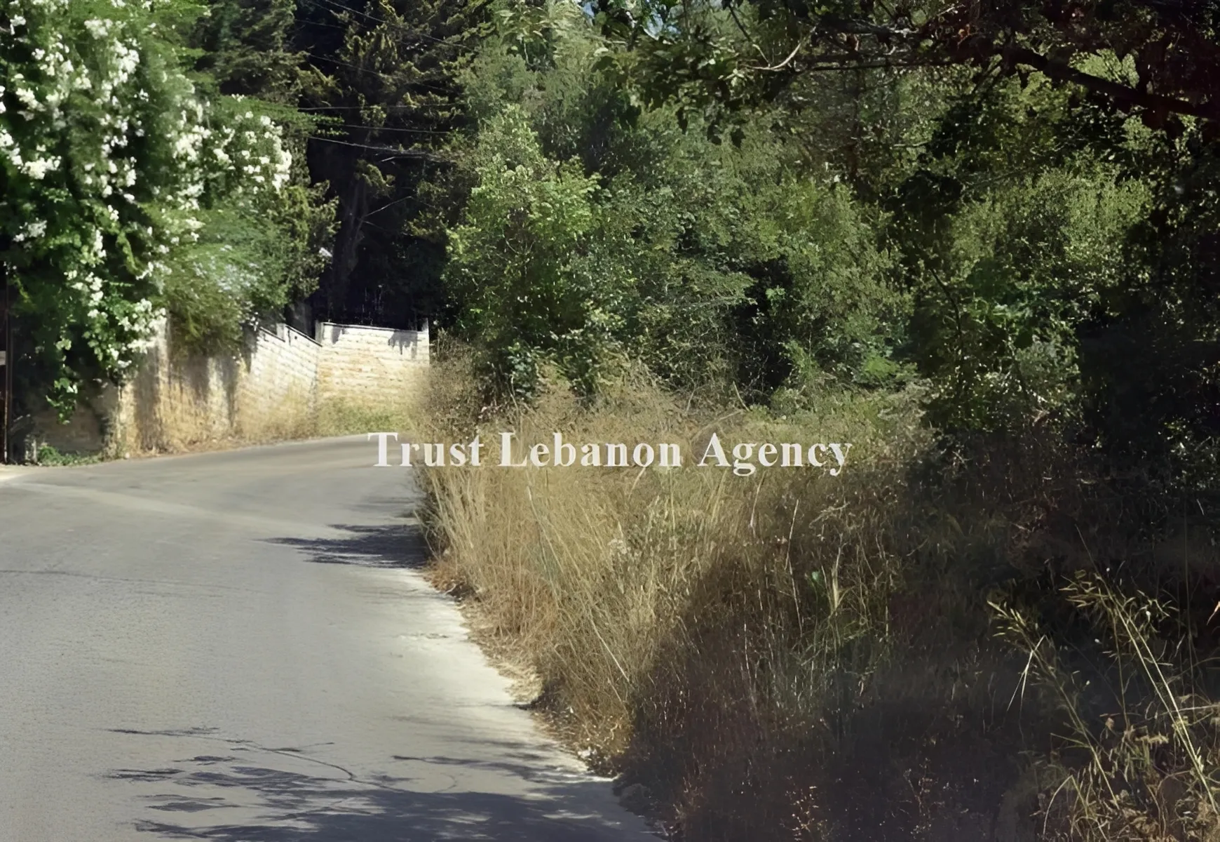 Land for Sale in Metn Jouret El Ballout Lebanon